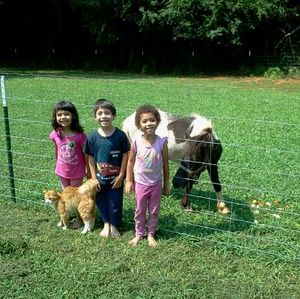 Meet your Posher, Wanda